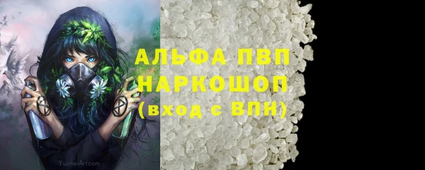 дживик Богородицк