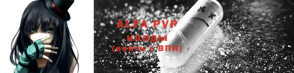 винт Богданович