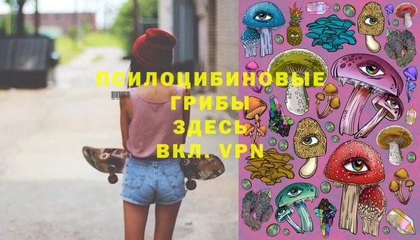 дживик Богородицк