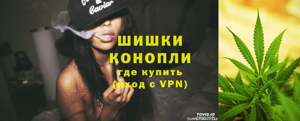 дживик Богородицк