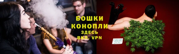винт Богданович