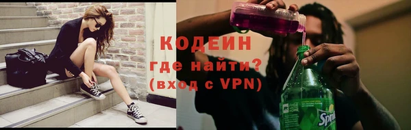 дживик Богородицк