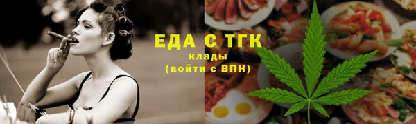 гидра Богородск