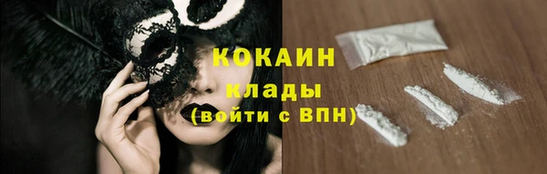 гидра Богородск