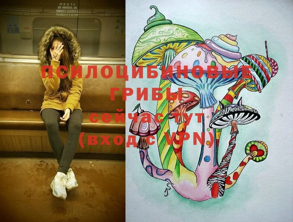 гидра Богородск