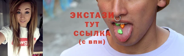 гидра Богородск