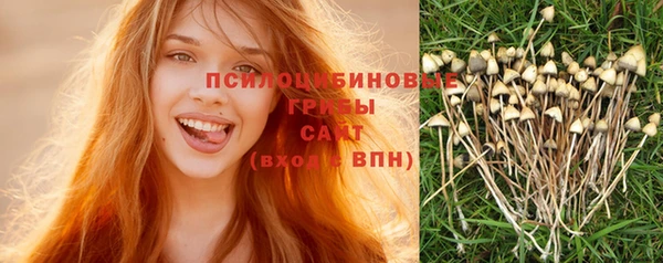 винт Богданович