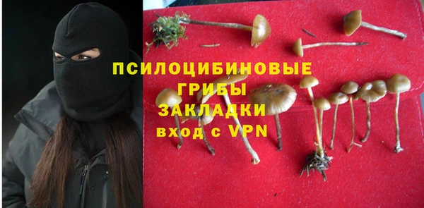 гидра Богородск