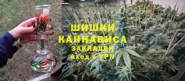 гидра Богородск