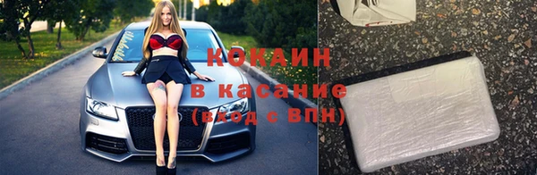 гидра Богородск