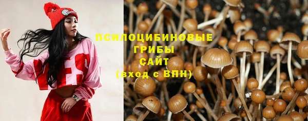 винт Богданович