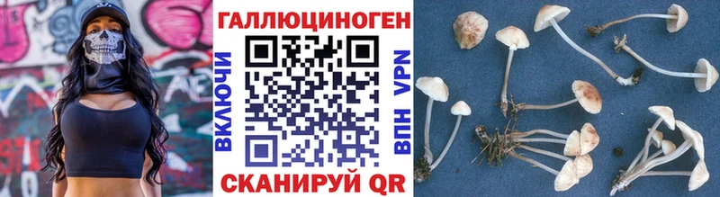 Галлюциногенные грибы прущие грибы Бикин